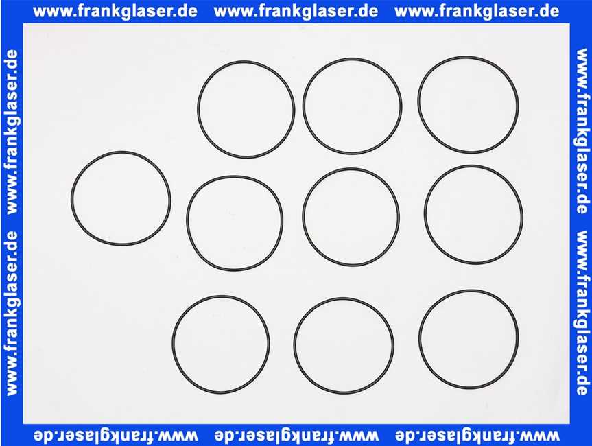 Remeha O-Ring-Dichtung Hera Condens 7626806