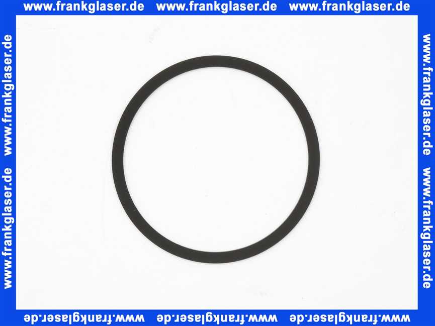 Remeha Dichtung Pumpe 7700944