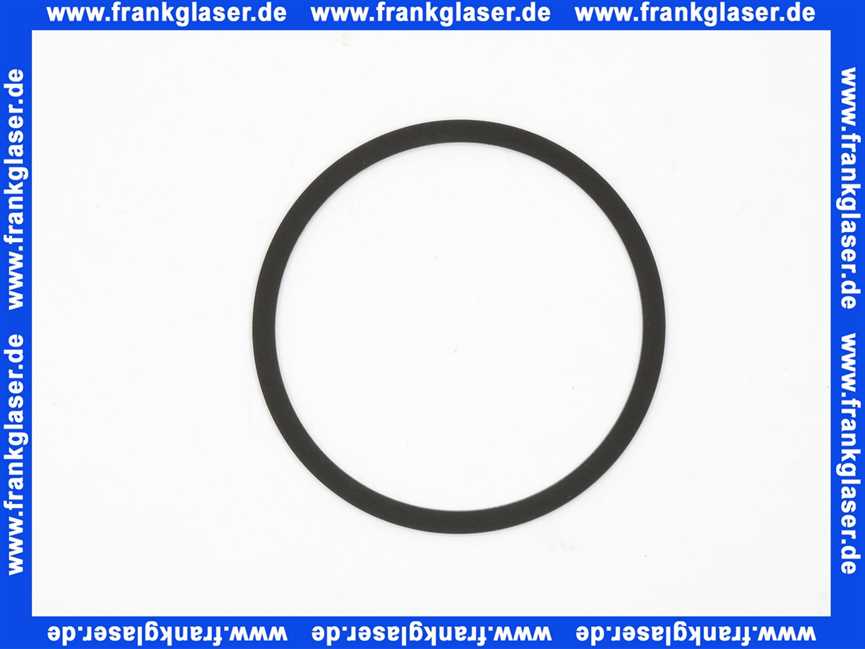 Remeha Dichtung Pumpe 7700944