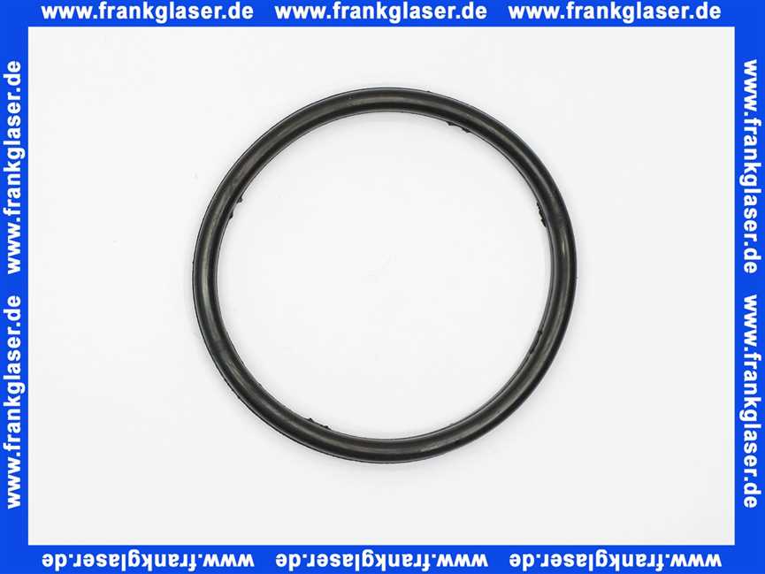 Remeha Dichtung/O-Ring Reinigungsflansch 7795810