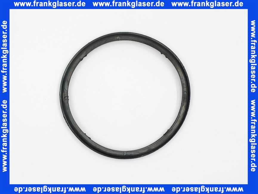 Remeha Dichtung/O-Ring Reinigungsflansch 7795810
