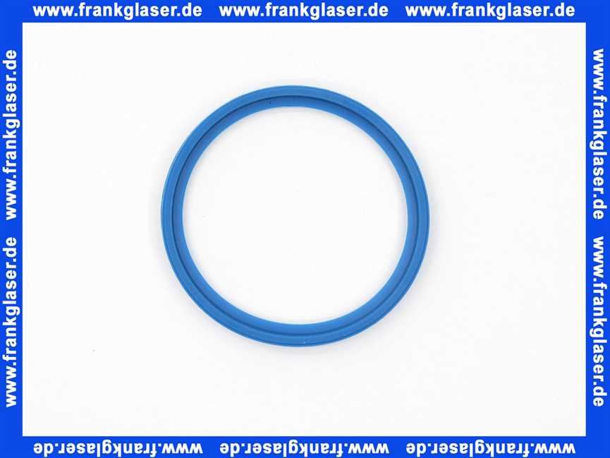 Remeha Dichtung DN60 für PPS 7797947 (Nachfolgeartikel)