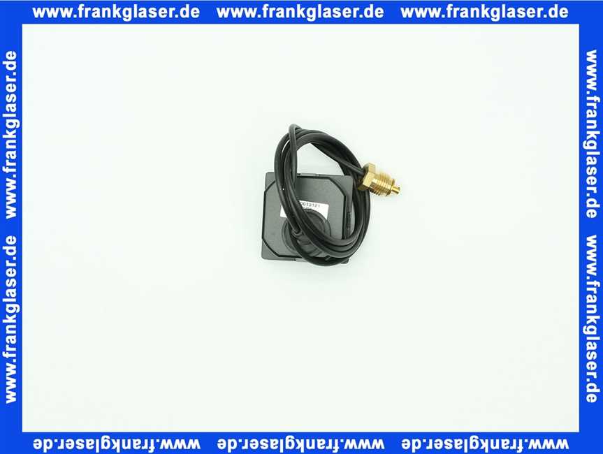 7879728 Remeha Manometer