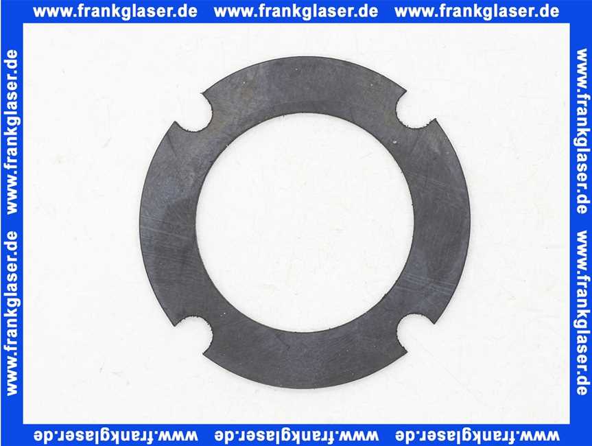7879796 Remeha Flanschdichtung EPDM