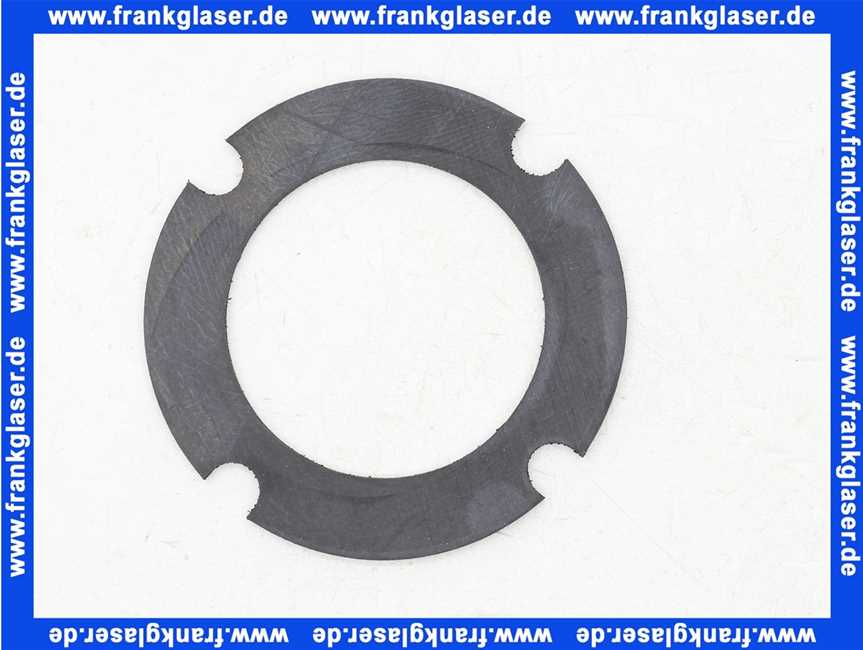 7879796 Remeha Flanschdichtung EPDM