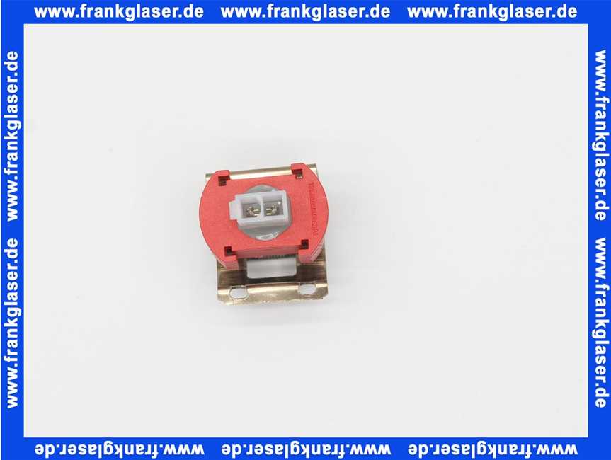 7879876 Remeha Fühler