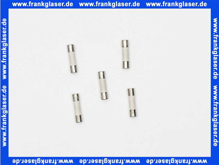 7879926 Remeha SichErung 6.3A Temp 5x