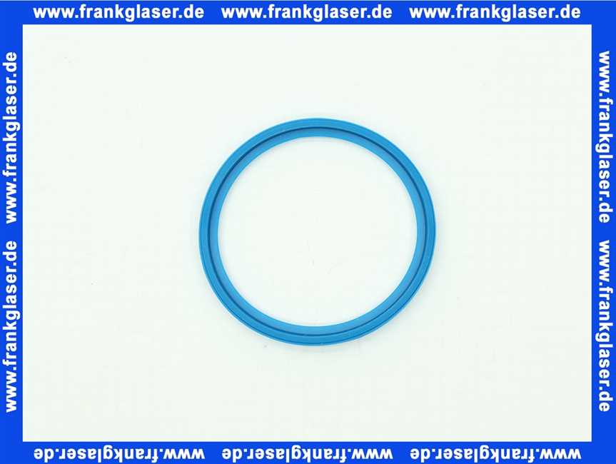 7880530 Remeha Dichtung