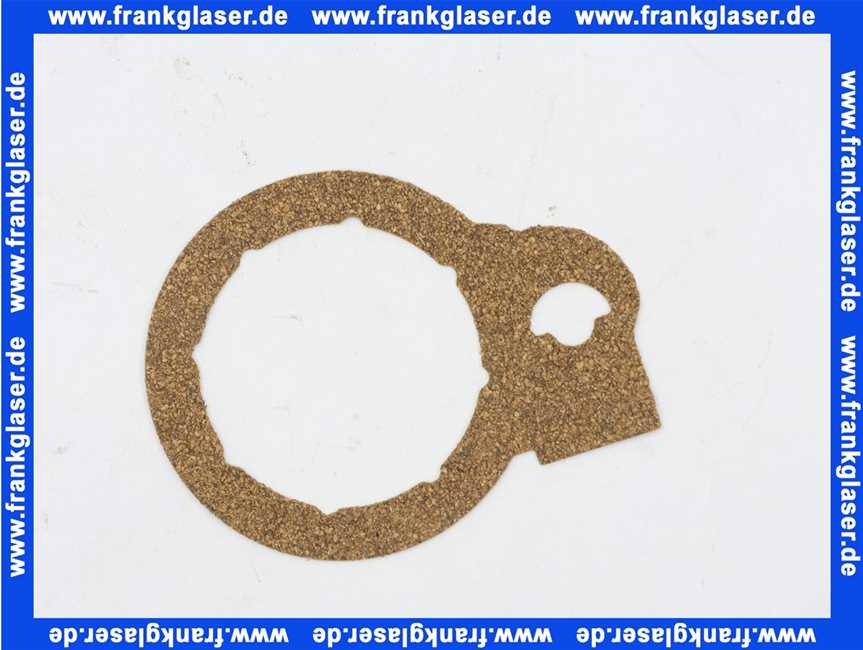 Remeha Dichtung SBK 7880536