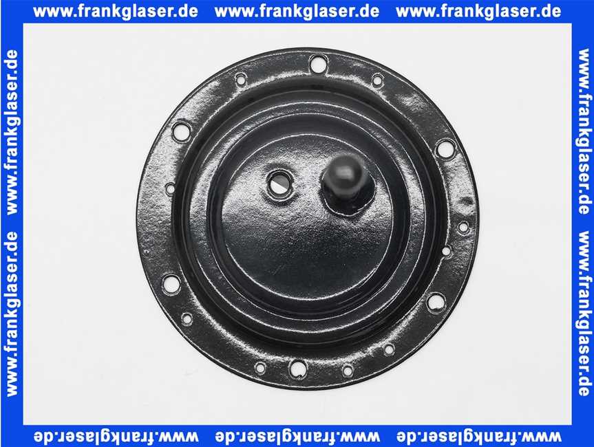 Remeha Flansch BS 220SHL 89530517