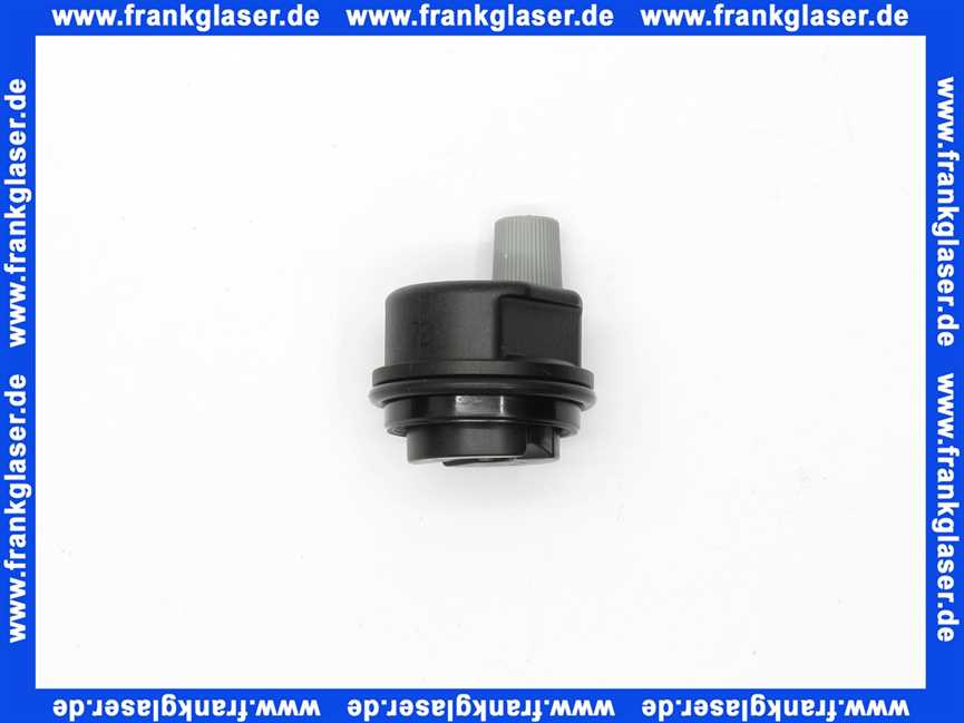 Remeha Entlüfter Pumpe + O-Ring Dichtung 94918142