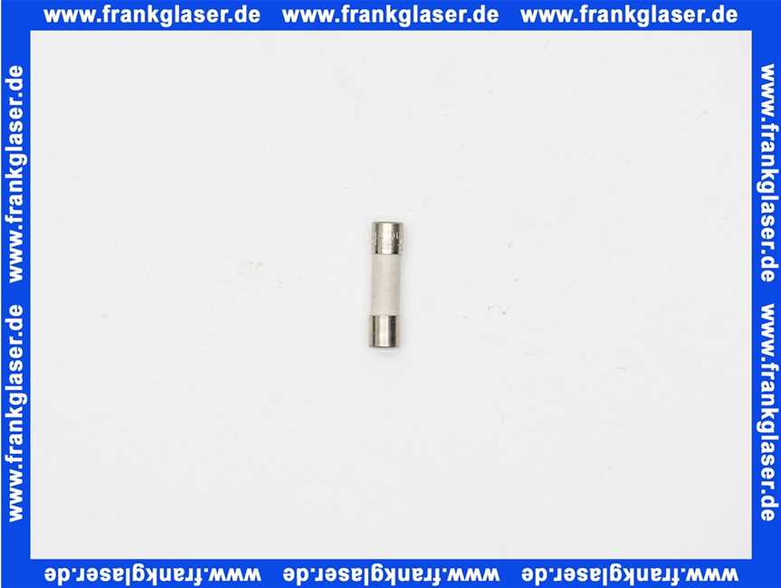 95340249 Remeha Sicherung 6.3A (Nachfolgeartikel)