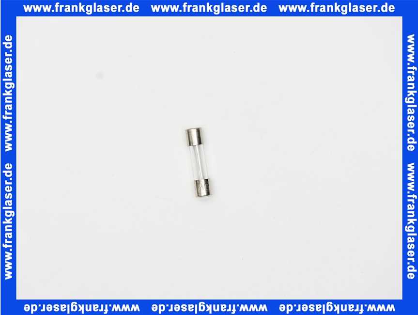 Remeha Sicherung 4A 96547000