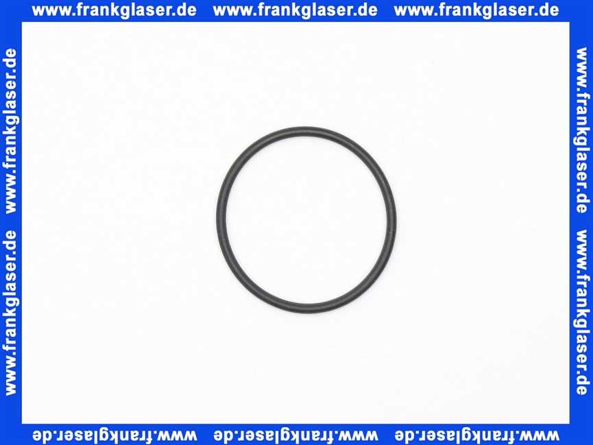 Remeha O-Ring 97580632