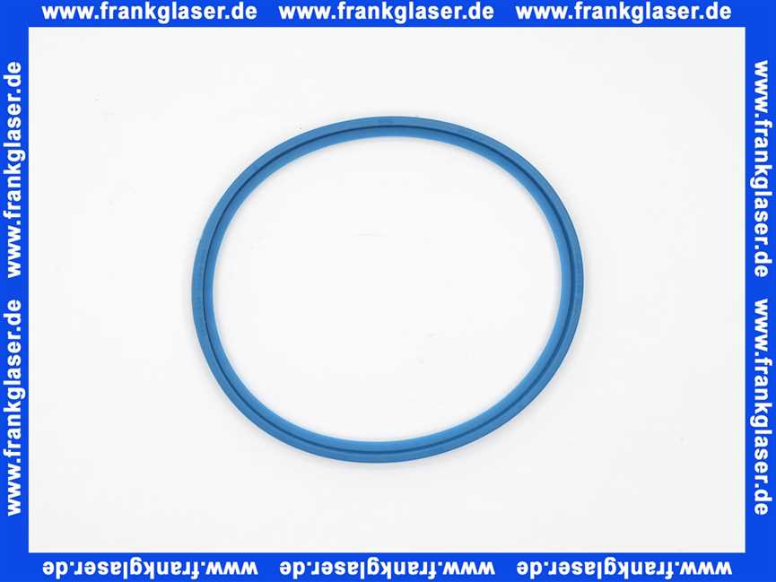 Remeha PPS Dichtung DN100 M85016