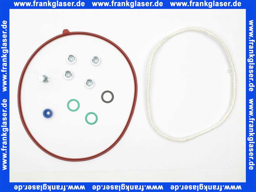 Remeha Dichtungssatz Frontplatte (Set I) S101164