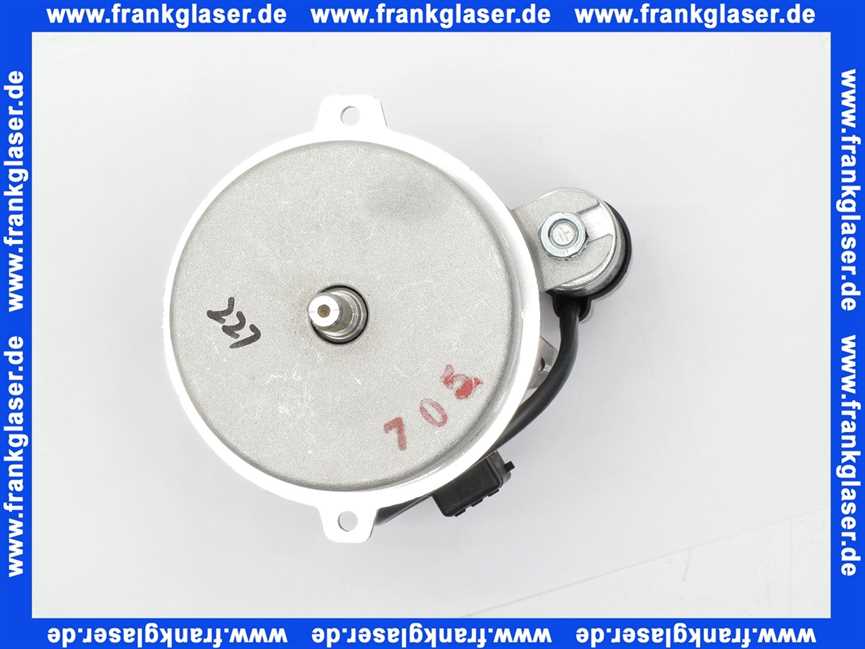 Rotex Motor 110W mit Kondensator für ROTEX A1 BO bis BJ 2018 5004659