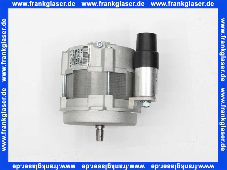 Rotex Motor 110W mit Kondensator für ROTEX A1 BO bis BJ 2018 5004659