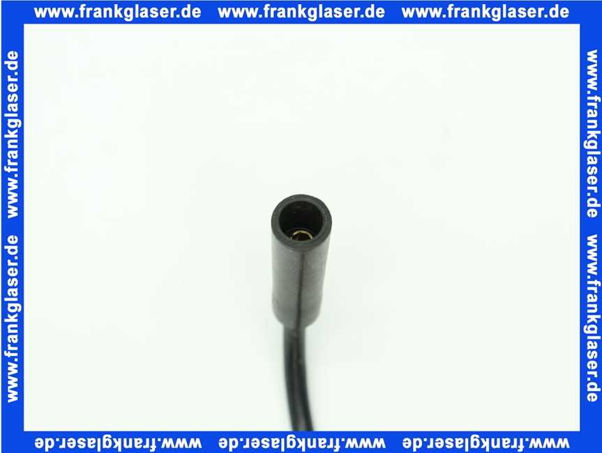 5004687 Rotex Ionisationskabel