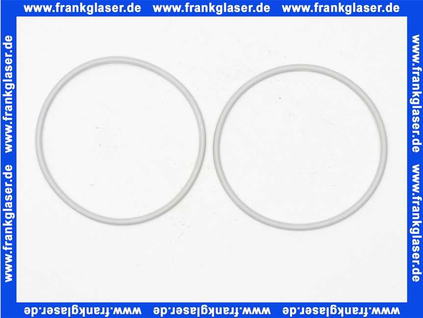 Rotex Dichtring für Revisions-Stück für ROTEX A1 bis BJ 2018 5004844