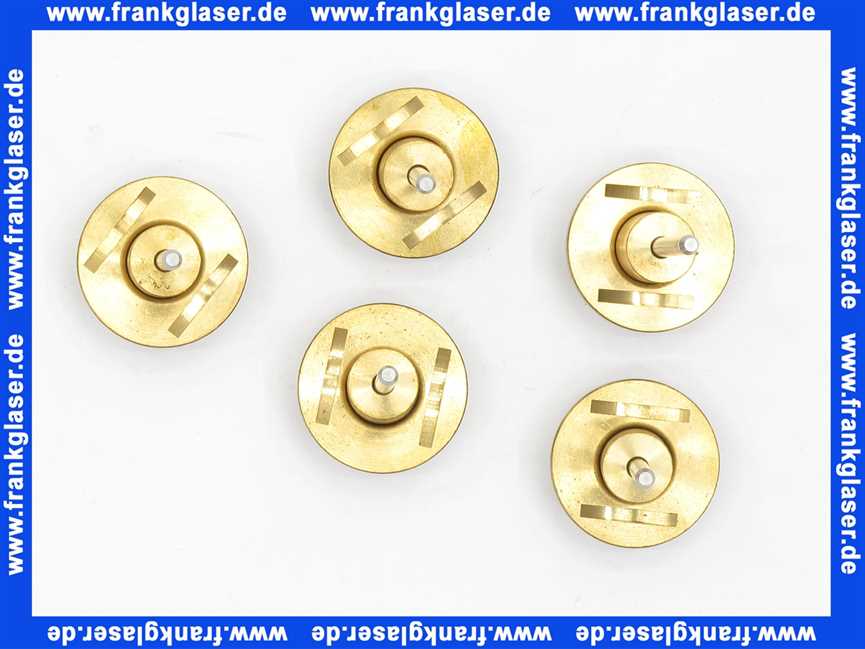 5005258 Rotex Ventileinsatz VPE 5 Stück