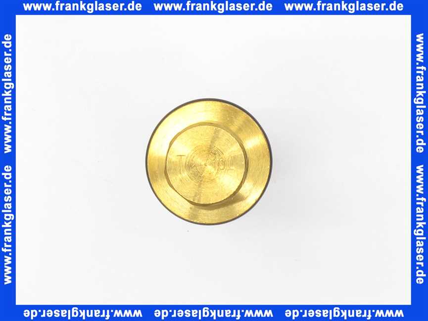 5009687 Rotex water inlet spare group (inside) Boiler SP