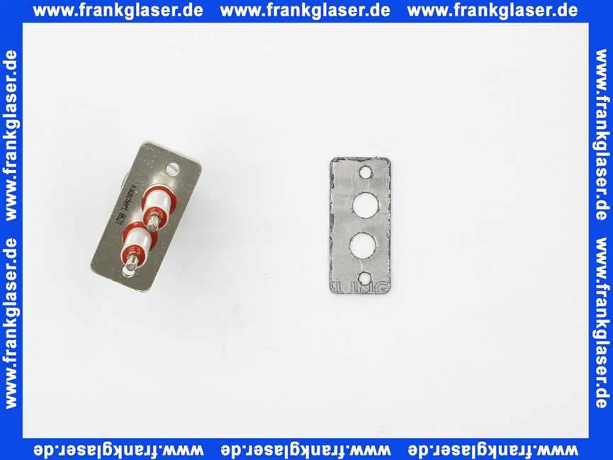 5011509 Rotex Zündelektrode GCU + Dichtung