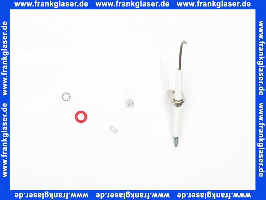 Rotex Überwachungselektrode für ROTEX G-Plus bis BJ 2017 5013289