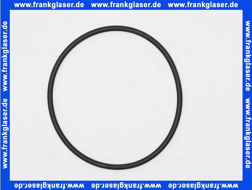 Rotex O-Ring f. Flansch D.99 x 4 Viton für ROTEX A1 BO bis BJ 2018 5013583