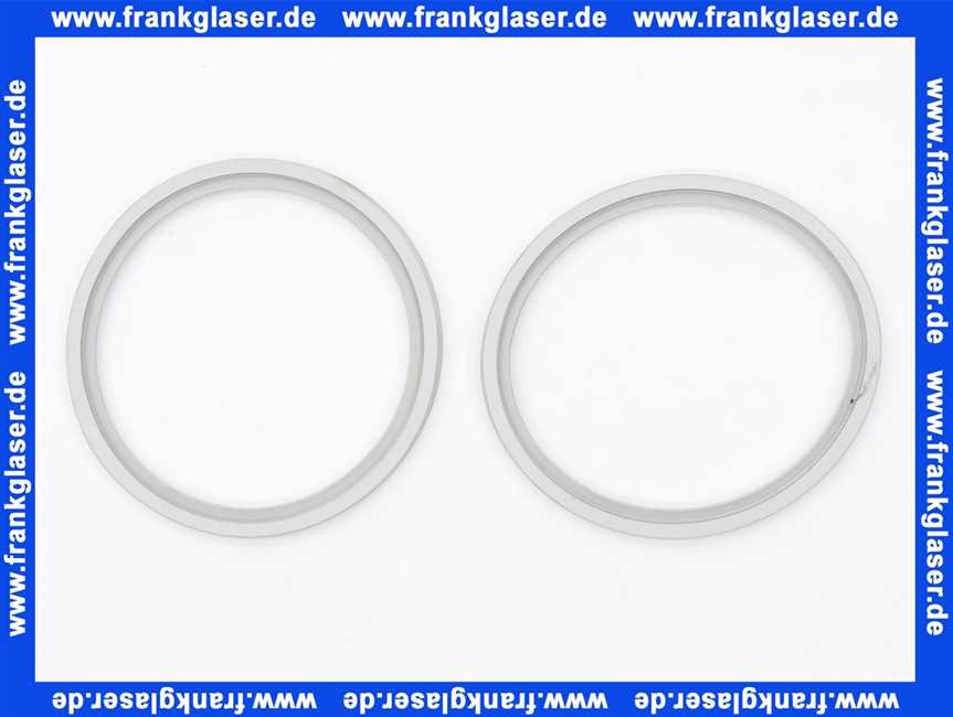 Rotex Dichtring DN80 Peroxyd für ROTEX A1 BO bis BJ 2018 5017666