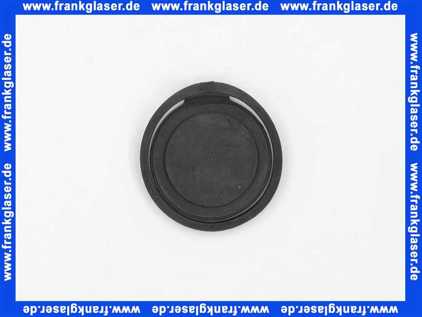 AU010020 Sanibroy Rueckstauklappe