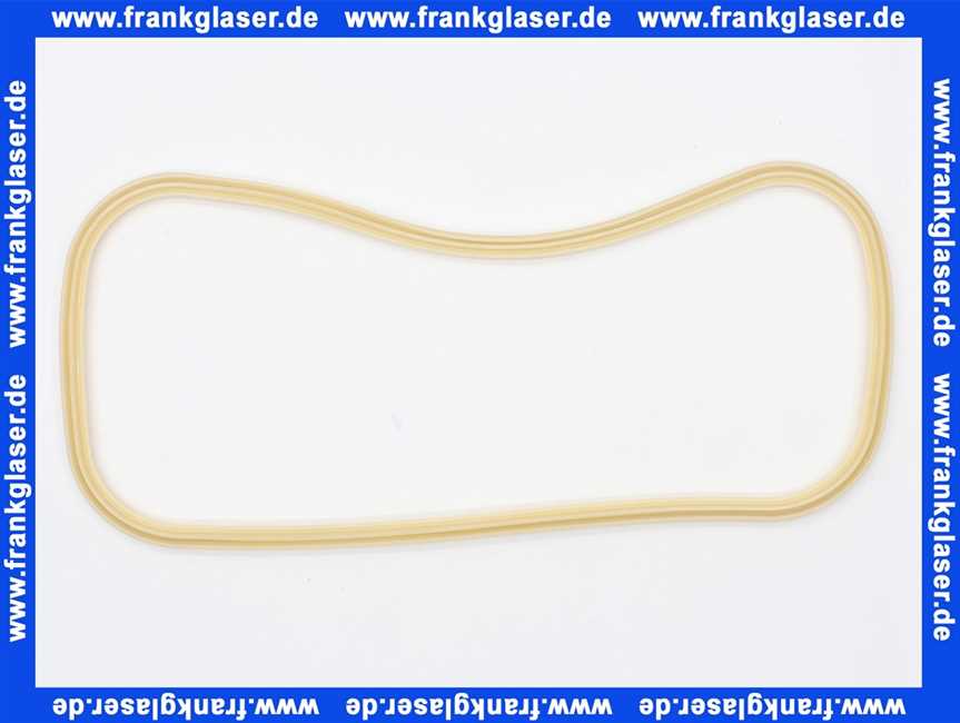 NP100093 Sanibroy Deckeldichtung zu Sanivite und Sanispeed