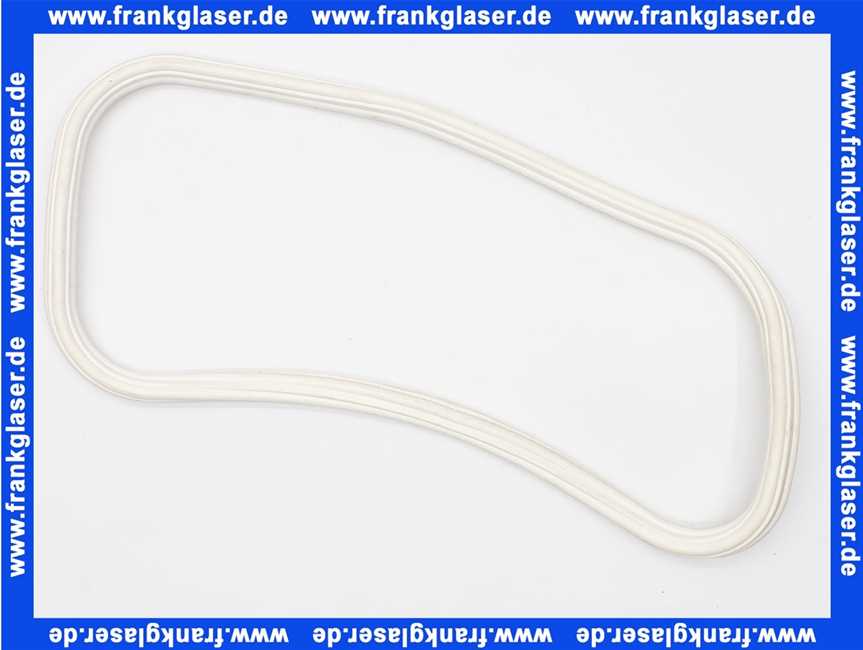 V3021 Sanibroy Deckeldichtung