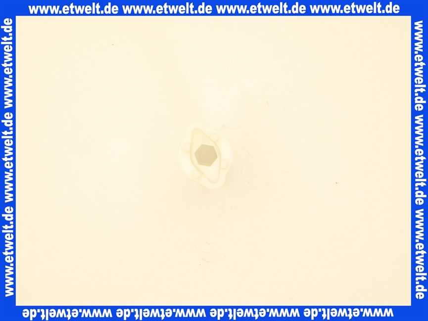 0296500 SANIT WC-Sitzschlüssel Schlüssel für WC Sitzbefestigung