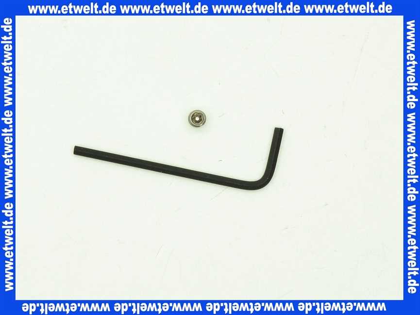 Sanit Sicherungsschraube und Schlüssel 03104000000