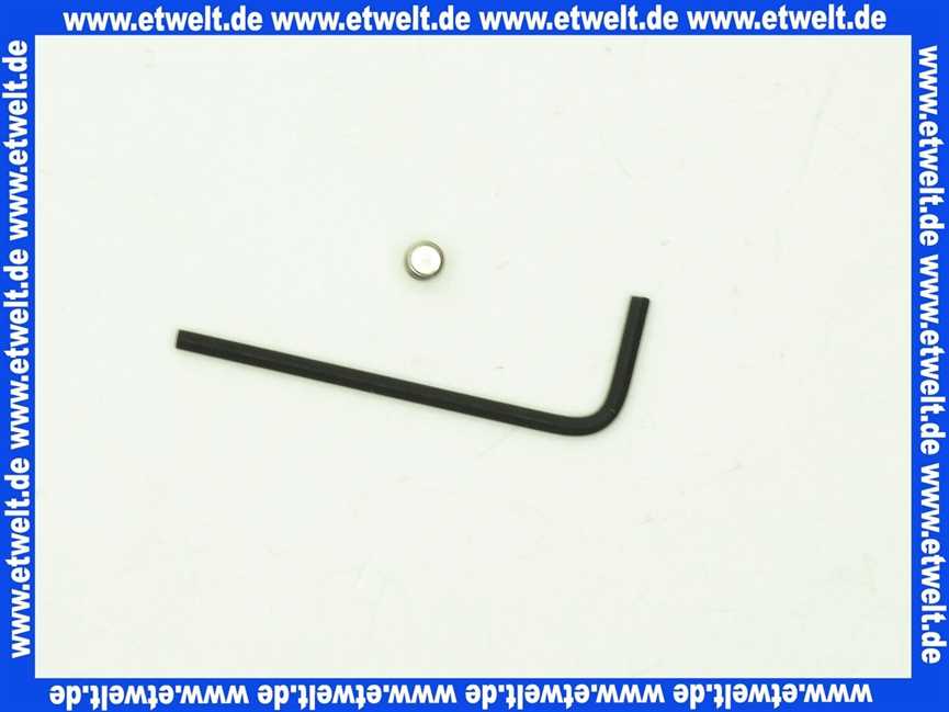 Sanit Sicherungsschraube und Schlüssel 03104000000