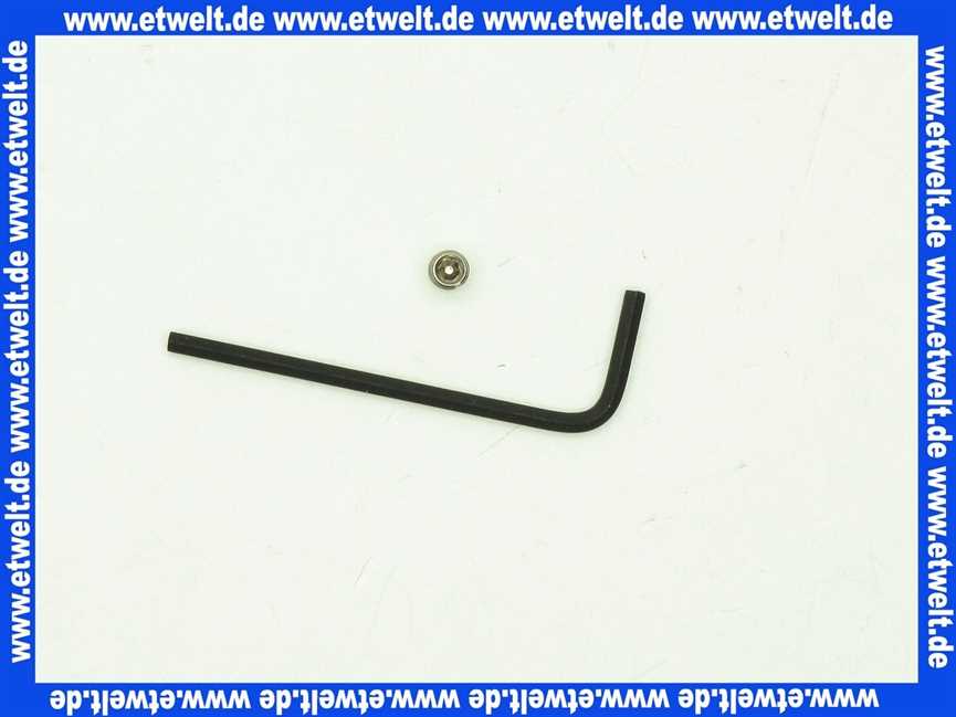 0310400 SANIT Sicherungsschraube und Schlüssel f Betätigungsplatten Designlinie S 700