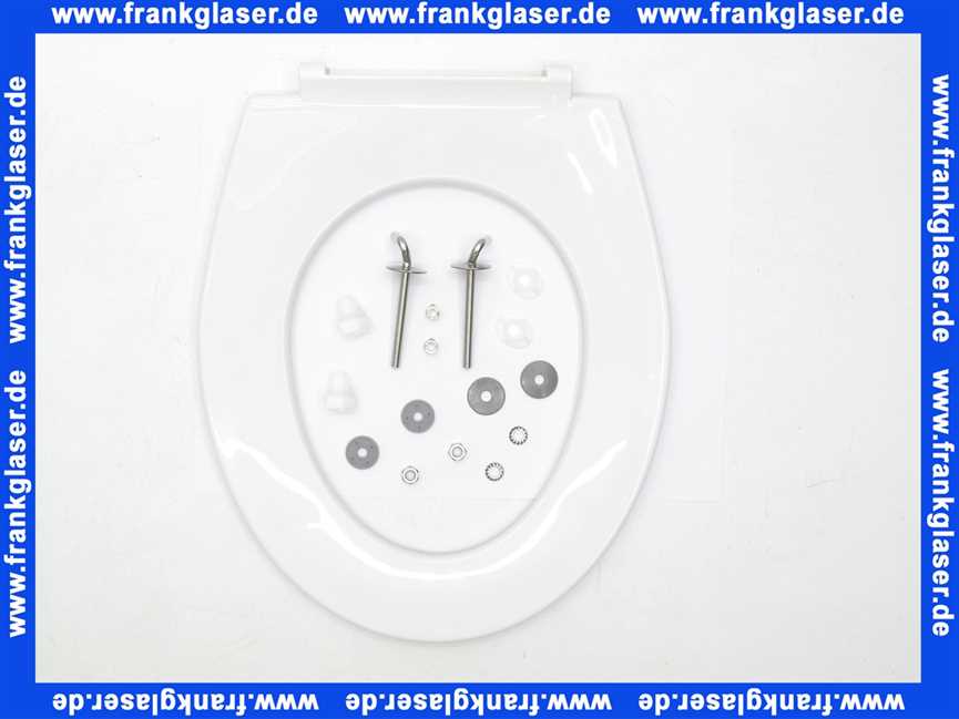 5602201 SANIT WC-Sitz ohne Deckel, Edelstahlscharniere, alpin-weiß