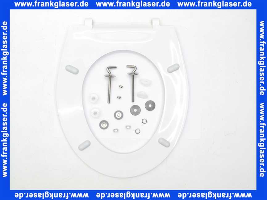 5602201 SANIT WC-Sitz ohne Deckel, Edelstahlscharniere, alpin-weiß