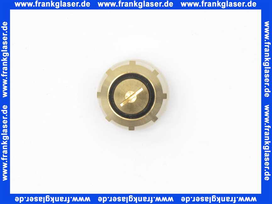 293120099 Schell Kolben für Urinaldruckspüler Schellomat