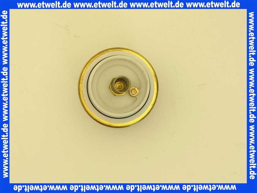 293550099 Schell Verschlusskopf für Druckspüler