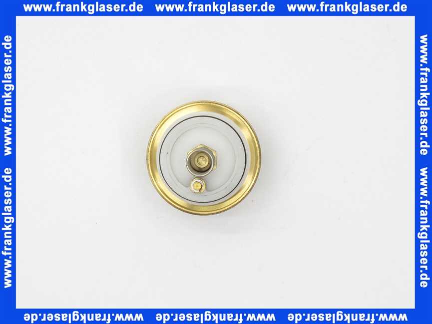 293580099 Schell Verschlusskopf komplett für Milano WC-Spülarmatur