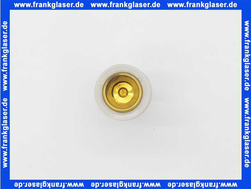 293630099 Schell Kolben für Druckspüler komplett