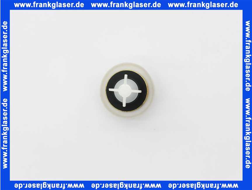 293630099 Schell Kolben für Druckspüler komplett