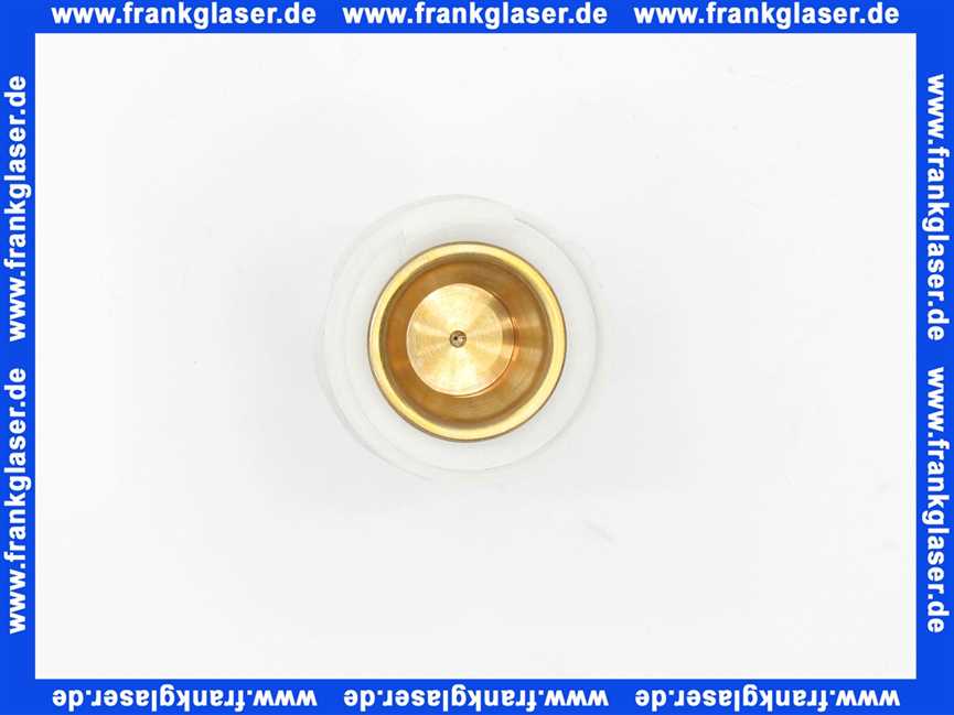 293770099 Schell Kolben zu Milano WC Druckspüler