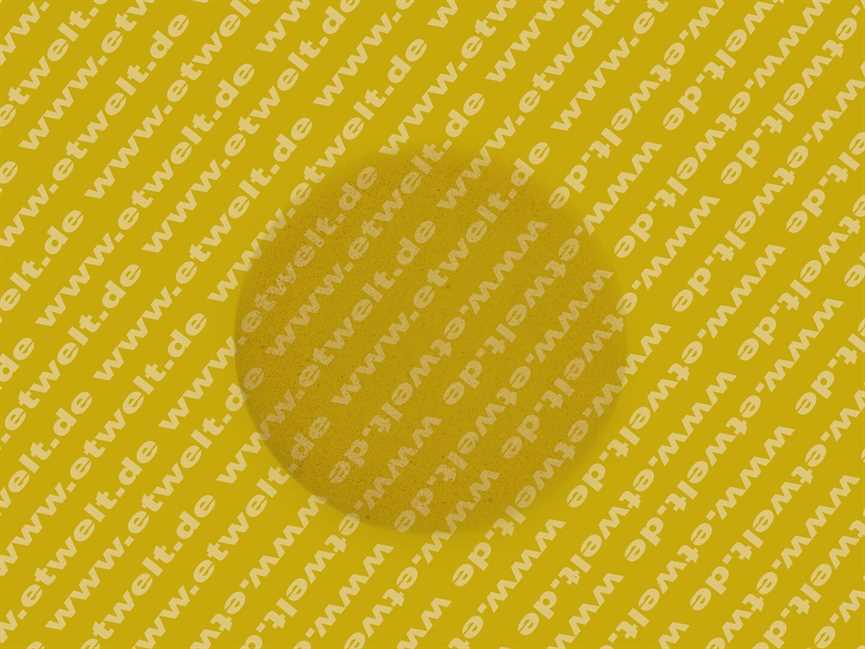 54913072 Sieger Anodenisolation D 100x30