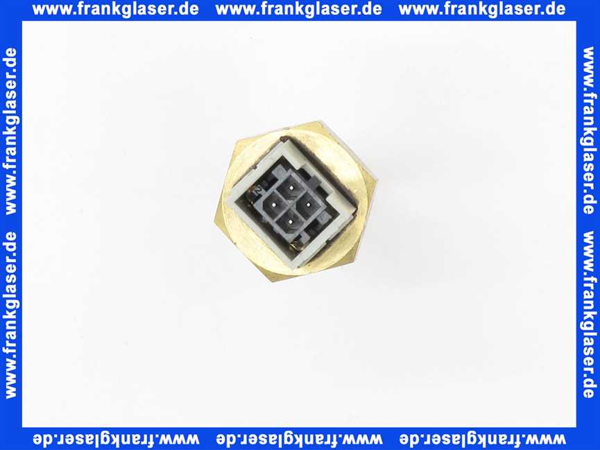 63024877 Sieger Fühler Kessel G1/4 45lg für G135