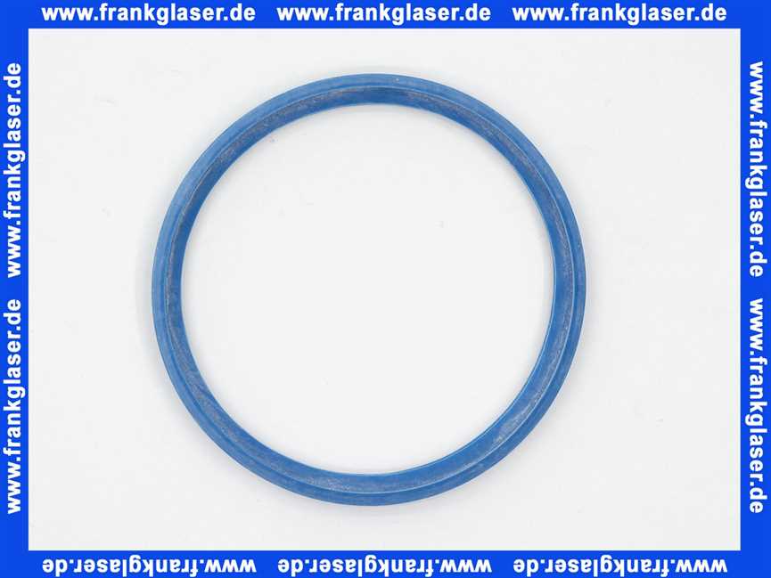 7096475 Sieger Lippendichtung DN80 (blau) für GB112, GB142, WHK Abgas