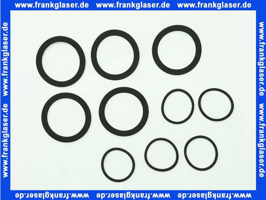 7099021 Sieger Flachdichtung-Set für Luftdüse
