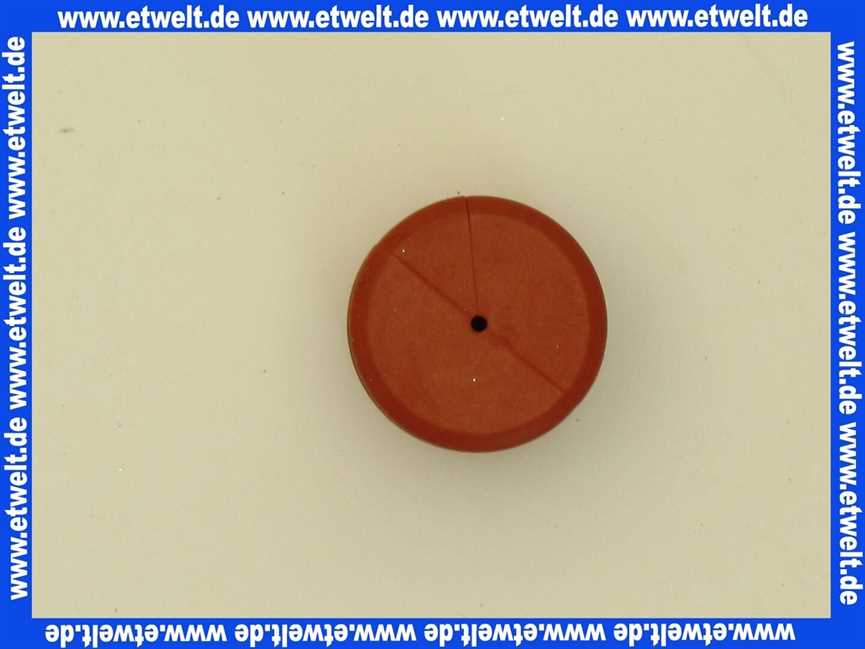 7099556 Sieger Dichtung Ionisationselektrode (5x) für GB132/152(T)